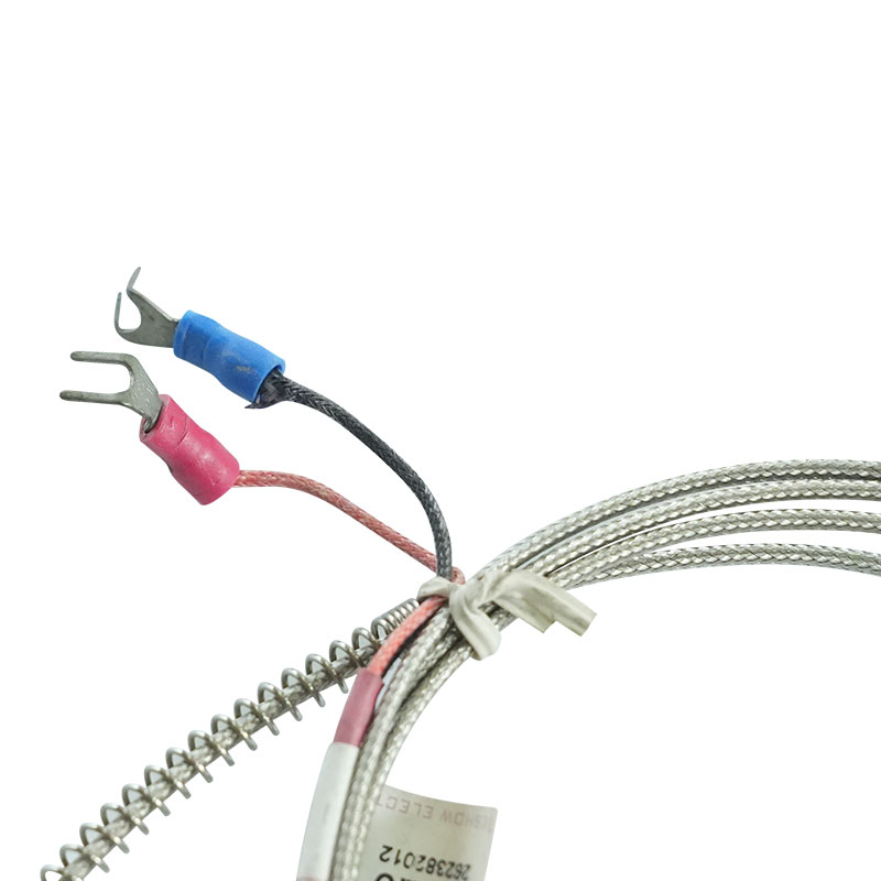 Pressure spring fixed thermocouple