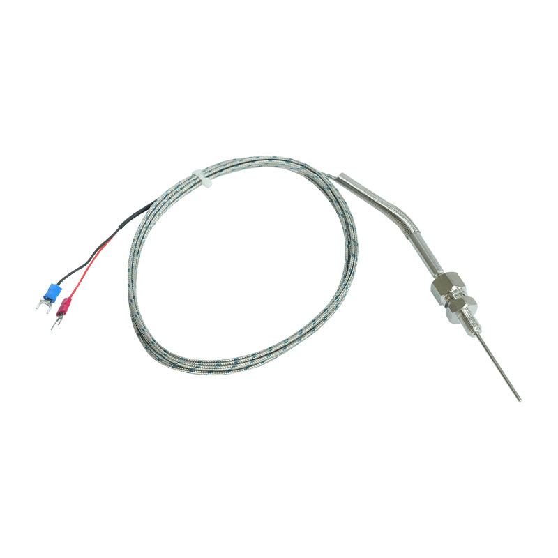 Multipoint sheathed thermocouple