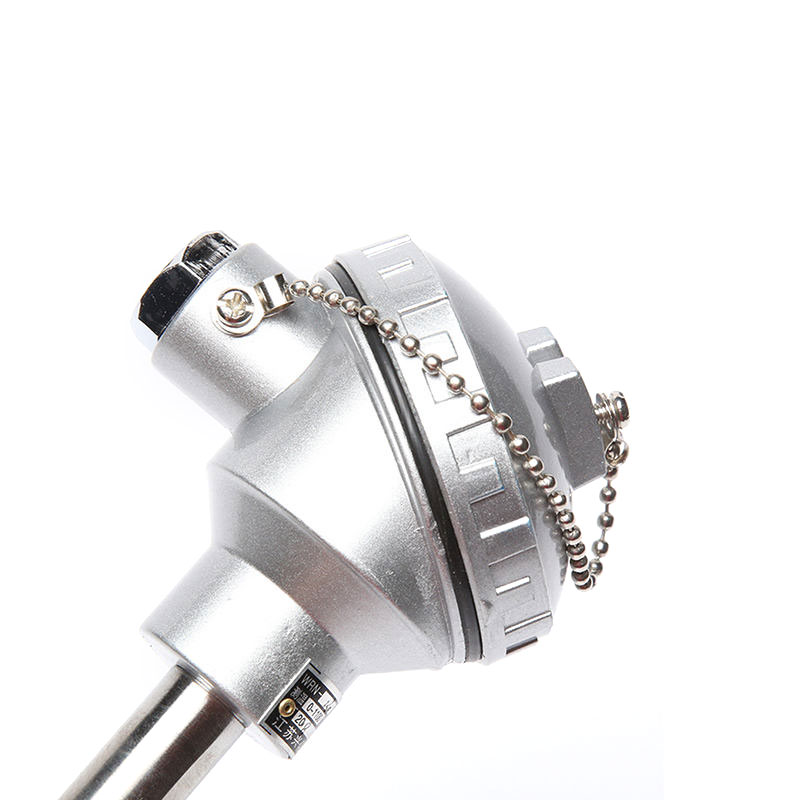 0.2–0.4 mm wire diameter Type S/B/R platinum-rhodium thermocouple furnace high-temperature sensor probe for molten metals