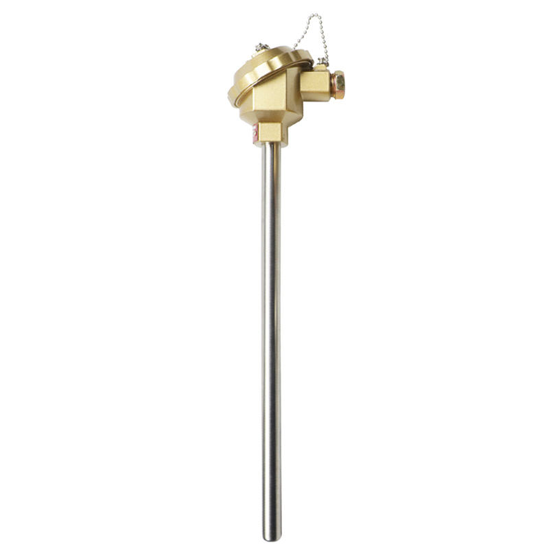Insulated, waterproof, wear-resistant thermocouple stainless steel material 1800°C K-type thermocouple PT100 RTD-type probe thermocouple