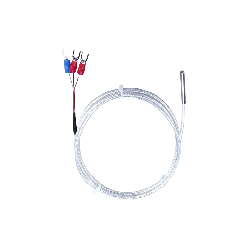 Industrial PT100 RTD temperature sensor 3-wire platinum thermistor 50mm thermocouple probe