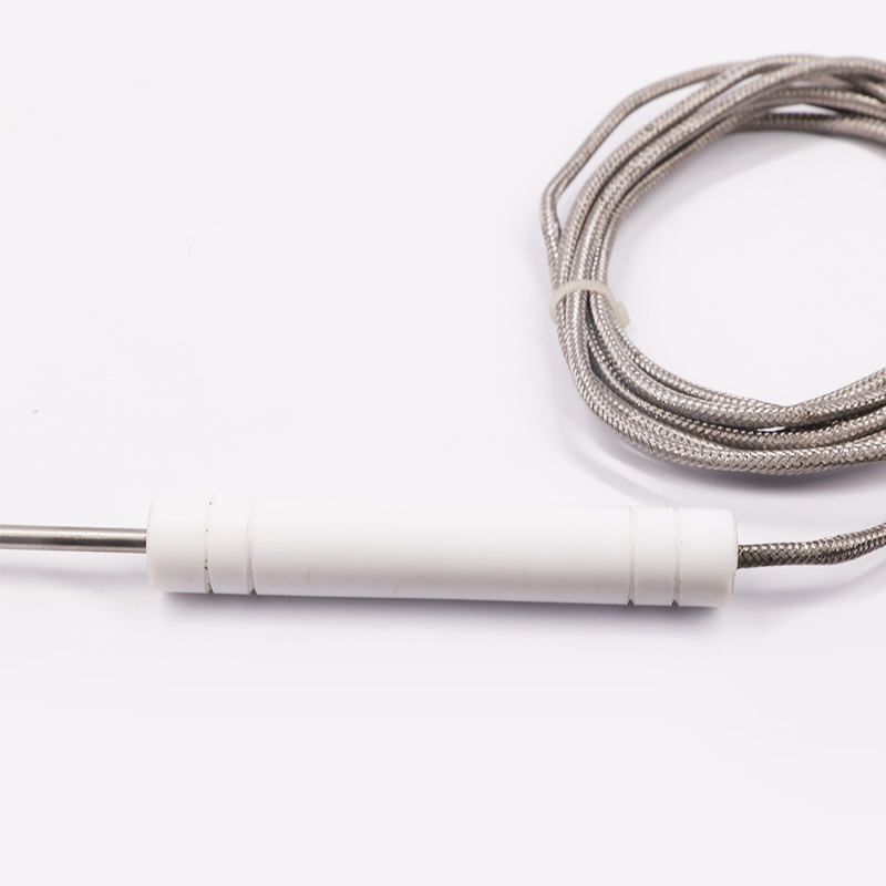 PT1000 PT100 NTC Food-Grade Probe Temperature Sensor Stainless Steel Probe Thermocouple for Meat Barbecues and Ovens