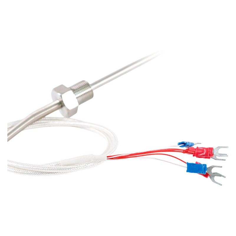 Factory Direct - 200 ~ 450°C Class A 316 Rtd Pt100 Temperature Sensor Platinum Resistance Thermometer Probe 1/2