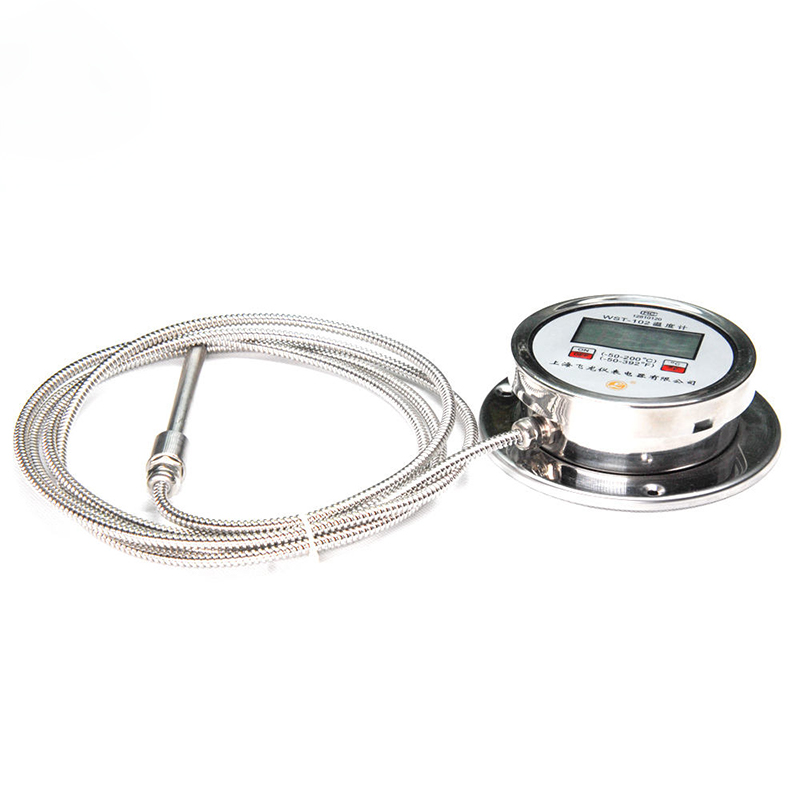 High-Precision Digital Display Thermometer Radial K-Type Pt100 Thermometer Stainless Steel Flexible Hose Digital Thermometer