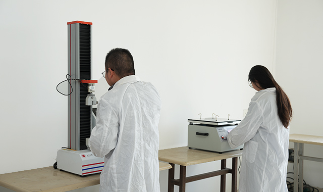 Jiangsu Zhaolong Electrics Co., Ltd.