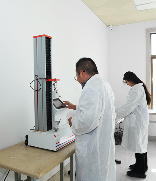 Jiangsu Zhaolong Electrics Co., Ltd.